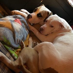 Meet your Posher, Bethany